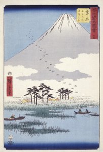 يوشيوارا: Fuji no Numa Ukishimagahara بواسطة أندو أو أوتاغاوا هيروشيغي