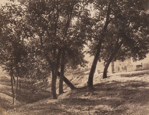الأشجار ، ج. 1855.
