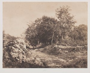 مشهد بلا عنوان من Fontainbleau ، ج. 1853.