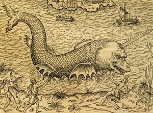 وحش البحر ، نقش من عالم الكونيات العالمي لأندريه تيفيت (1504-1592) ، باريس بواسطة أندريه ثيفت