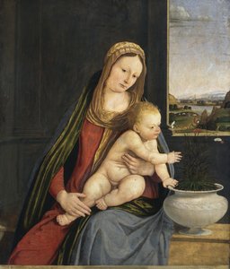 مادونا القرنفل ، ج 1495 (زيت وحرارة على ظهر السفينة) بواسطة أندريا سولاريو