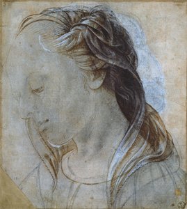 رأس أنثى (رسم) بواسطة أندريا فيروتشيو