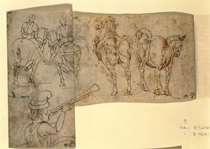 Inv no.38 recto Sketch of Horses، c. 1460-70 (قلم وحبر) بواسطة أندريا فيروتشيو