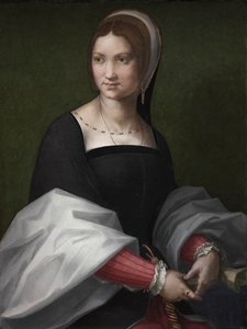 صورة لامرأة ، ج. 1518. بواسطة أندريا ديل سارتو