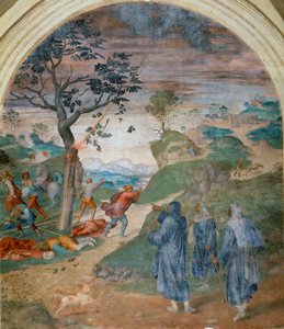 S. Filippo Benizzi يعاقب التجديف ، 1509-1510 بواسطة أندريا ديل سارتو