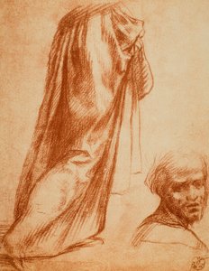دراسة الأقمشة وصورة الذكور ؛ رسم أندريا ديل سارتو. خزانة الرسومات والمطبوعات ، معرض أوفيزي ، فلورنسا بواسطة أندريا ديل سارتو