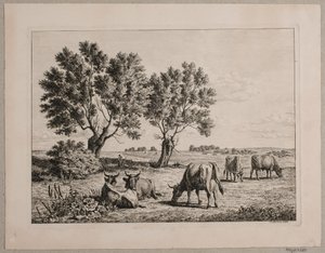 المناظر الطبيعية مع رعي الماشية