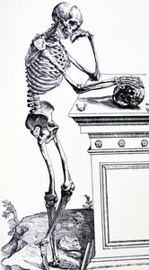 هيكل عظمي بشري مع جمجمة في يده. من "De Humani Corporis Fabrica" بواسطة Vesalius. الحطاب المحتمل: جان فون كالكار
