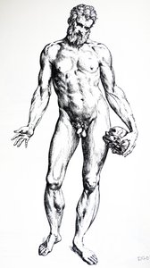 لوحات من الكتاب السابع من De Humani Corporis Fabrica