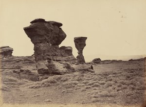  بواسطة أندرو جوزيف راسل