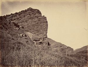  بواسطة أندرو جوزيف راسل