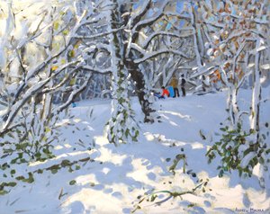 زلاجات عيد الميلاد في Allestree Woods ، 16x20 ، 2013