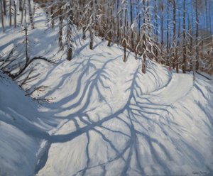 ظلال شجرة التنوب ، Tignes ، 2009 بواسطة أندرو ماكارا