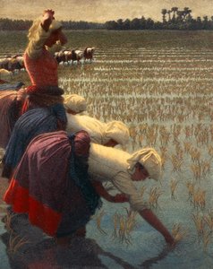 موندين (عاملات الأرز الإيطاليات)