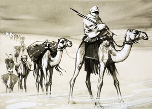 الإبل التي تعبر الصحراء بواسطة أنجوس ماكبرايد