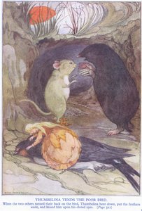 تميل Thumbelina الطائر المسكين بواسطة آن أندرسون