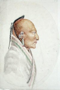 Cachasunghia ، رئيس The Little Osage (ألوان مائية على ورق) بواسطة آن مارجريت هايد دي نوفيل
