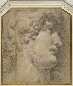 Head of the Emperor Gallienus (or ?Hadrian), after the antique (black chalk on cream paper) بواسطة أنيبال كاراتشي