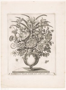 التقى Bloemen in vaas halffiguren صورة زهرة (أزهار) وميض بسرعة تذكرنا بالعمر (العنوان على الكائن) بواسطة جاكوبوس كيمبينر