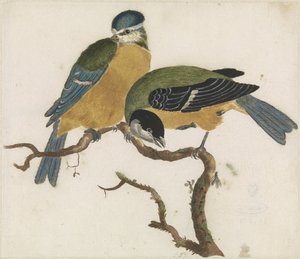 A Blue Tit و a Great Tit على فرع بواسطة مجهول