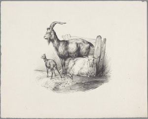 ماعز وماعز وحمل ستة دراسات حيوانية صغيرة (عنوان السلسلة) ستة دراسات عن الحيوانات الصغيرة (عنوان السلسلة على الكائن) بواسطة مجهول