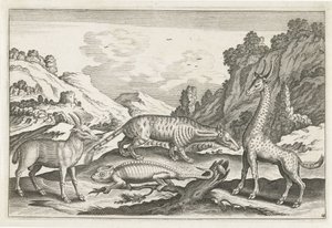 حيوانات غريبة الحيوانات ذات الأرجل الأربعة (عنوان السلسلة) Animalivm Qvaddrvpedvm (عنوان المسلسل) بواسطة نيكولاس فيشر (الأول) (منسوب إلى)