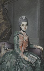 فريدريكا صوفيا فيلهلمينا (1751-1820) ، أميرة بروسيا. زوجة الأمير وليام الخامس بواسطة يوهان جورج زيسينيس (نسخ بعد)
