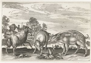 الماعز والخنزير الحيوانات ذات الأرجل الأربعة (عنوان السلسلة) Animalivm Qvaddrvpedvm (عنوان المسلسل) بواسطة نيكولاس فيشر (الأول) (منسوب إلى)