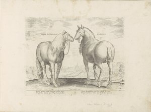 Hengst en merrie uit Rome الحصان الروماني (العنوان على الكائن) Paardenrassen uit de Koninklijke stallen van Don Juan van Oostenrijk (عنوان المسلسل) الحصان الذي فيه جميع أنواع النبلاء: يتميز سلوك خيول منتقاة من مختلف أنحاء العالم ( بواسطة جان فان دير سترايت