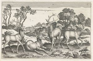 عزيزي الحيوانات ذات الأرجل الأربعة (عنوان السلسلة) Animalivm Qvaddrvpedvm (عنوان المسلسل) بواسطة نيكولاس فيشر (الأول) (منسوب إلى)