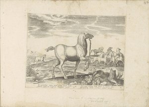 كودي وايلد باردين سباق الخيل للأطفال (العنوان على الكائن) Paardenrassen uit de Koninklijke stallen van Don Juan van Oostenrijk (عنوان المسلسل) حصان فيه جميع أنواع النبلاء: يتم اختياره من مختلف أنحاء العالم وتتميز بسلوك الخيول (...) بواسطة جان فان دير سترايت