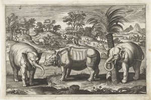 الفيلة ووحيد القرن الحيوانات ذات الأرجل الأربعة (عنوان السلسلة) Animalivm Qvaddrvpedvm (عنوان المسلسل) بواسطة كلايس جانز. فيشر (الثاني) (ربما)
