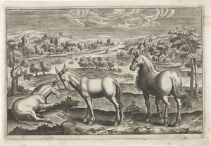 الخيول والحمير الحيوانات ذات الأرجل الأربعة (عنوان السلسلة) Animalivm Qvaddrvpedvm (عنوان المسلسل) بواسطة كلايس جانز. فيشر (الثاني) (ربما)