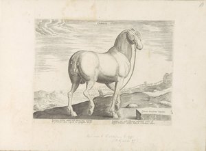 حصان من كورسيكا القلب (العنوان على الكائن) Paardenrassen uit de Koninklijke stallen van Don Juan van Oostenrijk (عنوان المسلسل) الحصان الذي فيه جميع أنواع النبلاء: تم اختيار سلوك خيول متميز من مختلف أنحاء العالم (...) (عنوان السلسلة على obje بواسطة هندريك جولتزيوس (رفض الإسناد)