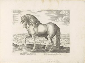 Paard uit Friesland Phryso (العنوان على الكائن) Paardenrassen uit de Koninklijke stallen van Don Juan van Oostenrijk (عنوان المسلسل) الحصان الذي فيه جميع أنواع النبلاء: تم اختيار سلوك خيول متميز من مختلف بقاع العالم (...) (عنوان المسلسل على ob بواسطة جان فان دير سترايت