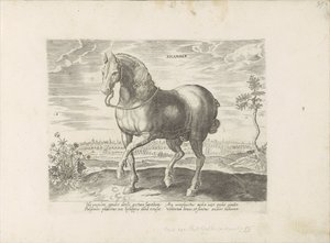 Paard uit Gelre Sicamber (العنوان على الكائن) Paardenrassen uit de Koninklijke stallen van Don Juan van Oostenrijk (عنوان المسلسل) الحصان الذي فيه جميع أنواع النبلاء: تم اختيار سلوك خيول متميز من مختلف أنحاء العالم (...) (عنوان السلسلة على obje بواسطة جان فان دير سترايت