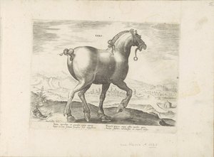Paard uit Saksen ساكسو (العنوان على الكائن) Paardenrassen uit de Koninklijke stallen van Don Juan van Oostenrijk (عنوان المسلسل) الحصان الذي فيه جميع أنواع النبلاء: اختيار سلوك خيول متميز من مختلف أنحاء العالم (...) (عنوان السلسلة على الكائن) بواسطة جان فان دير سترايت