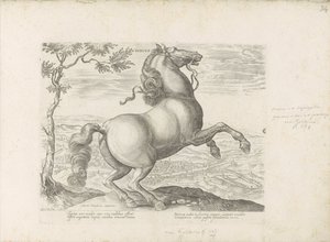 Paard uit Toscane توسكانا (العنوان على الكائن) الحصان الذي فيه جميع أنواع النبلاء: اختيار سلوك خيول متميز من مختلف أنحاء العالم (...) (عنوان السلسلة على الكائن) بواسطة جان فان دير سترايت