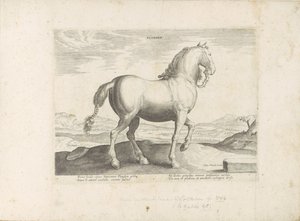 Paard uit Vlaanderen Flander (العنوان على الكائن) Paardrassen uit de Koninklijke stallen van Don Juan van Oostenrijk (عنوان السلسلة) الحصان ، حيث كل سلالة نبيلة: سلوك الخيول المختارة من أجزاء مختلفة من العالم (...) ( عنوان المسلسل على بواسطة هندريك جولتزيوس (رفض الإسناد)