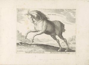 Paard van het ras Royal Horse (de Koninklijke) الحصان الملكي (العنوان على الجسم) Paardenrassen uit de Koninklijke stallen van Don Juan van Oostenrijk (عنوان المسلسل) حصان فيه كل أنواع النبلاء: يتميز بآداب الخيول من مختلف بقاع العالم بواسطة جان فان دير سترايت