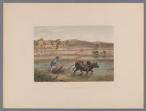 مزارعون يحرثون في حقول الأرز اليابانية Laborage d'une riziere (العنوان على الكائن) Souvenir du Japon vues d'après nature avec texte par le comte de Lijnden (عنوان السلسلة) بواسطة مجهول