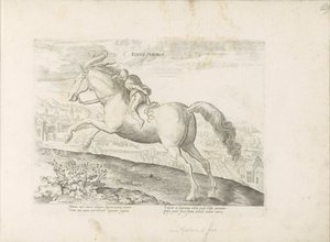 رينبارد التقى رويتر حصان مغاربي (العنوان على الكائن) Paardenrassen uit de Koninklijke stallen van Don Juan van Oostenrijk (عنوان المسلسل) الحصان الذي فيه كل أنواع النبلاء: سلوك خيول متميز من مختلف بقاع العالم مختار (...) (عنوان المسلسل) بواسطة جان فان دير سترايت
