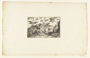 البومة والبومة طويلة الأذن التي تفترسها الطيور Volatilium varii generis (...] (عنوان السلسلة) بواسطة نيكولايس دي بروين