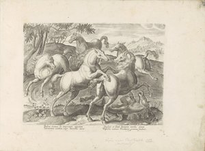 Vechtende paarden التقى مع een onder de voet gelopen paard الحصان الذي فيه جميع أنواع النبلاء: اختيار سلوك خيول متميز من مختلف أنحاء العالم (...) (عنوان السلسلة على الكائن) بواسطة جان فان دير سترايت