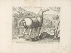 Zephyrus bevrucht een Merrie Paardenrassen uit de Koninklijke stallen van Don Juan van Oostenrijk (عنوان المسلسل) الحصان الذي فيه جميع أنواع النبلاء: اختيار سلوك خيول متميز من مختلف أنحاء العالم (...) (عنوان السلسلة على الكائن) بواسطة جان فان دير سترايت