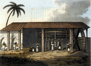 البرازيل ، مصنع السكر - في "" الزي القديم والحديث "1819 - 1820 للدكتور جول فيرارو ، إد ميلانو. بواسطة مجهول مجهول