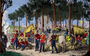 تخييم القوات الروسية والإنجليزية في الشانزليزيه في باريس في يوليو 1815 بعد هزيمة نابليون الأول ، النقش ، المجموعة الخاصة بواسطة مجهول مجهول