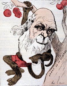 رسم كاريكاتوري لتشارلز روبرت داروين (1809 - 1882) في "La Lune" بواسطة مجهول مجهول