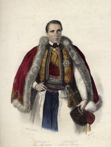 دانيال دي مونتينيغرو (1826-1860) (دانيلو ألكسندر بتروفيك نجيجوس) - دانيلو الأول ، أمير الجبل الأسود - مجهول - 1853 - طباعة حجرية ، ألوان مائية - 40.7x30.9 - مجموعة خاصة بواسطة مجهول مجهول