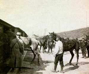 صورة من ألبوم شخصي لملازم مشاة خلال الأشهر الأولى من الحرب العالمية الأولى (1st ، Iere بواسطة مجهول مجهول